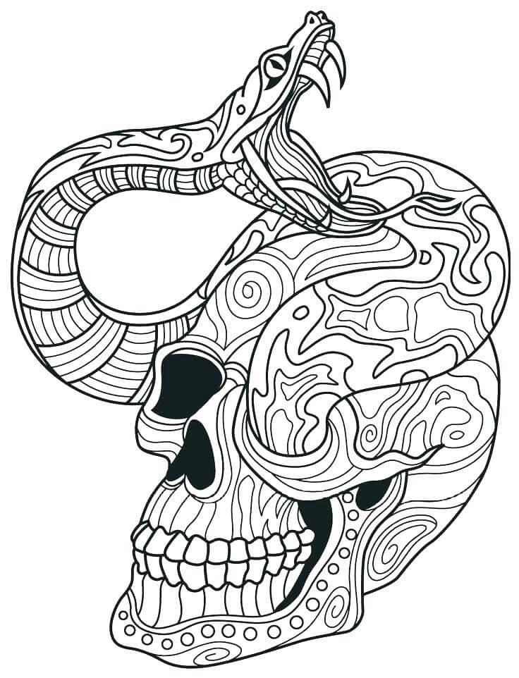 Dibujo de Calavera y Serpiente para Colorear
