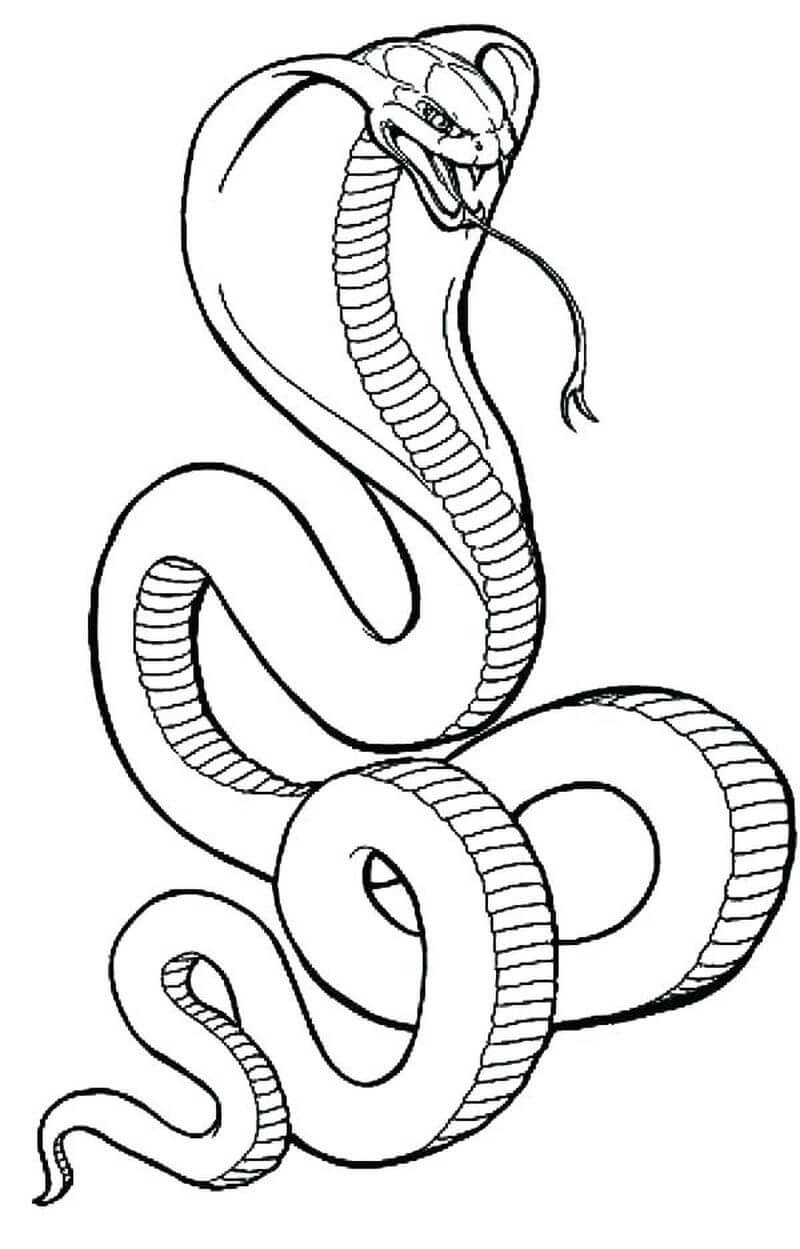 Dibujo de Cobra Aterradora para Colorear