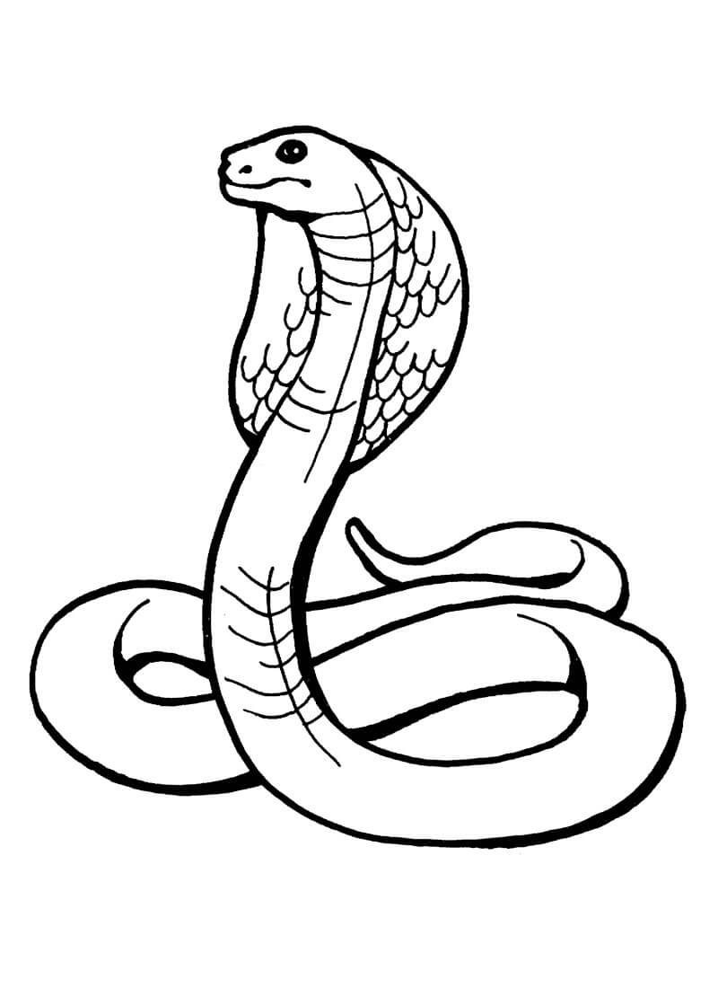 Dibujo de Cobra Genial para Colorear