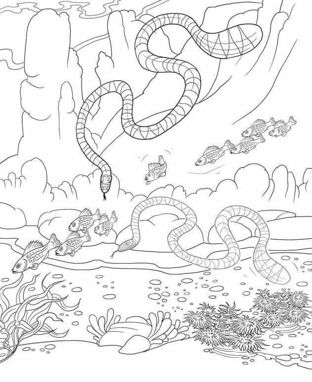 Dibujo de Dos Serpientes Marinas con Peces para Colorear
