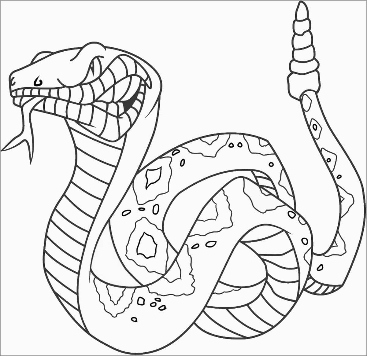 Dibujo de Gran Serpiente para Colorear