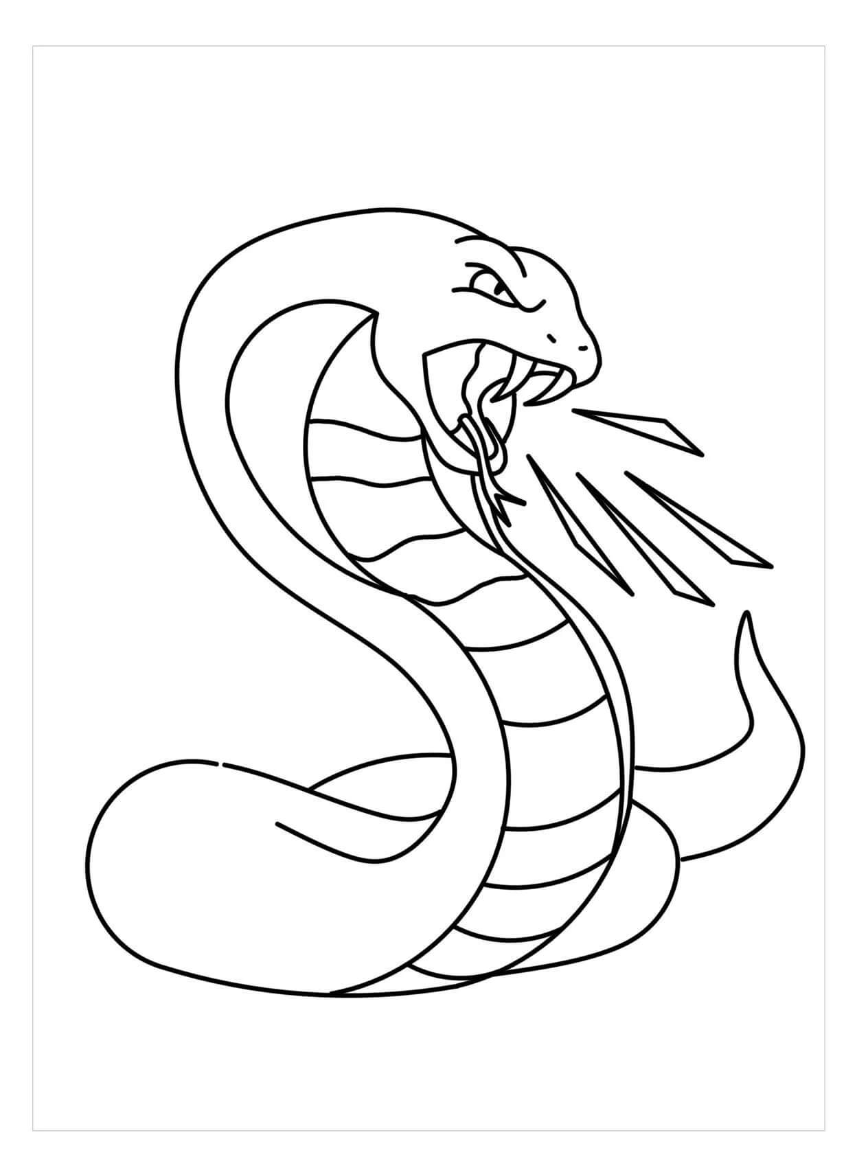 Dibujo de Serpiente Enojada para Colorear