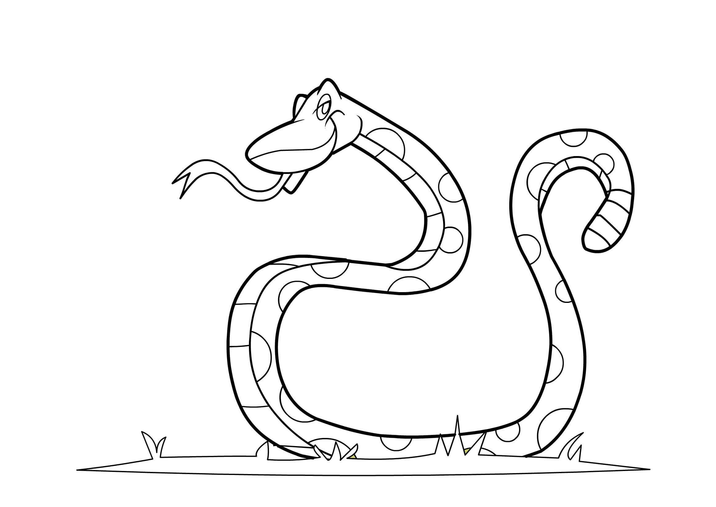 Dibujo de Serpiente Fresca para Colorear