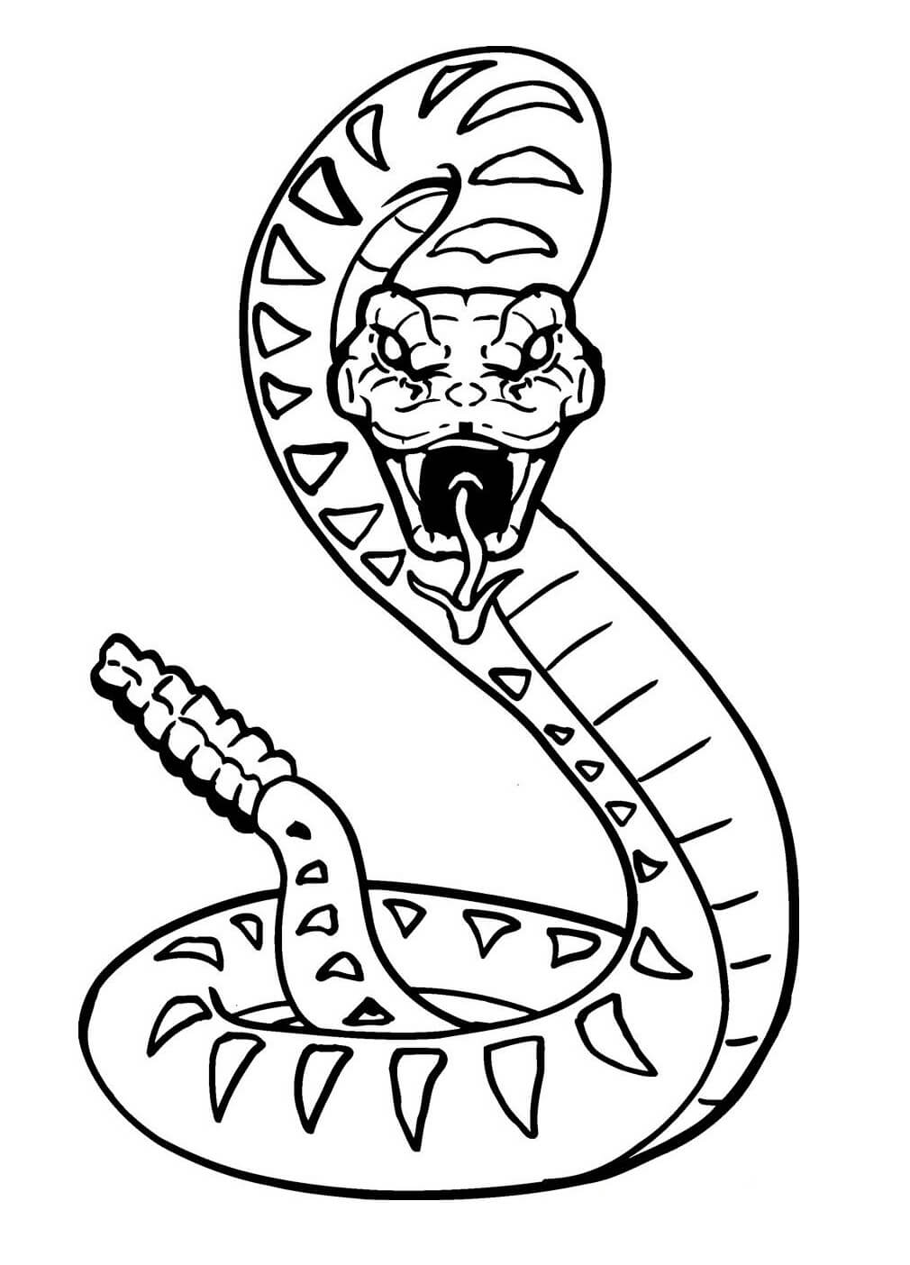 Dibujo de Serpiente Impresionante para Colorear