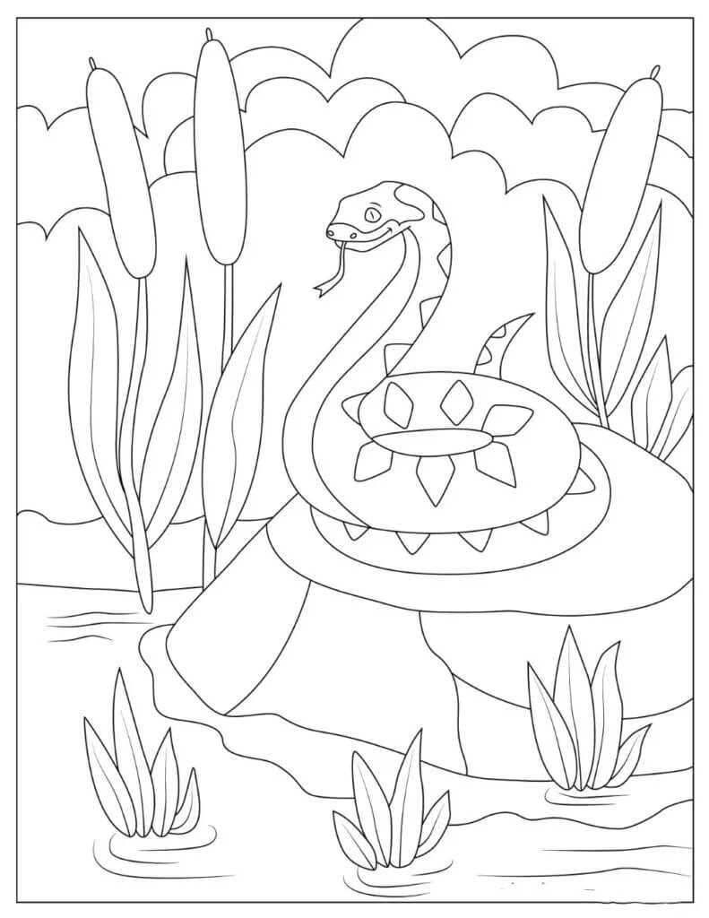Dibujo de Serpiente Libre para Colorear