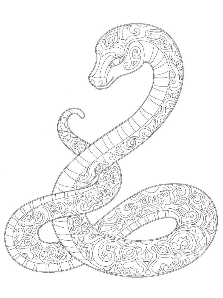 Dibujo de Serpiente Mandala para Colorear