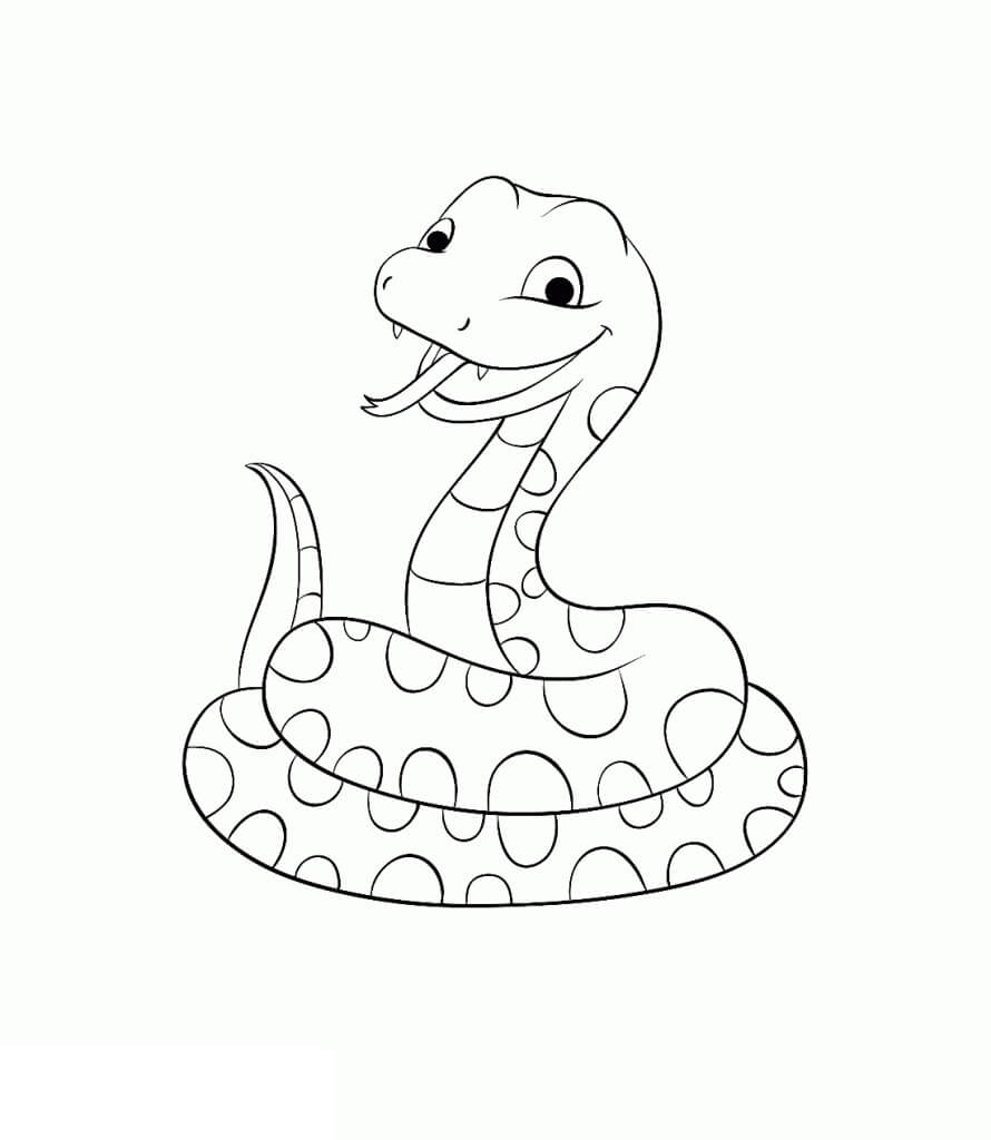 Dibujo de Serpiente Riendo para Colorear