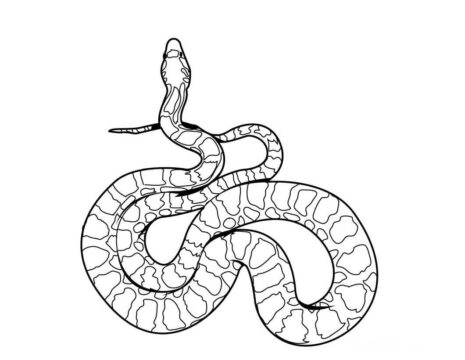 Dibujo de Serpiente Sencilla para Colorear