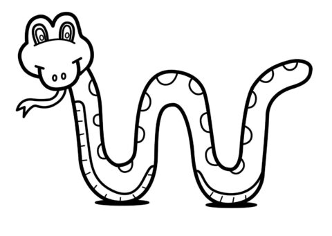 Dibujo de Serpiente Sonriendo para Colorear