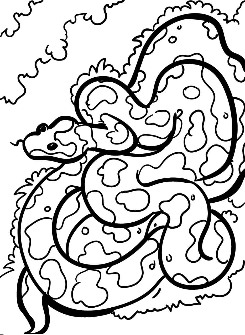 Dibujo de Serpiente de Camuflaje para Colorear