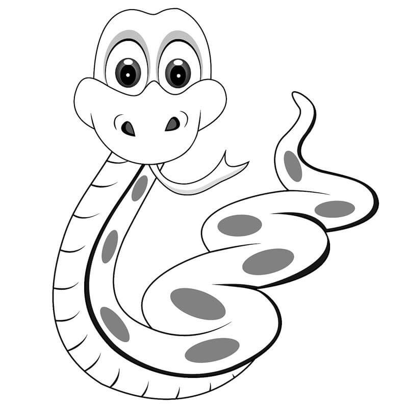 Dibujo de Serpiente de Caricatura para Colorear