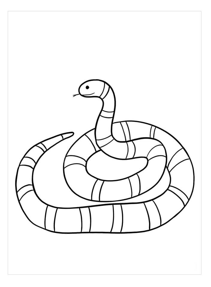 Dibujo de Serpiente de Coral para Colorear