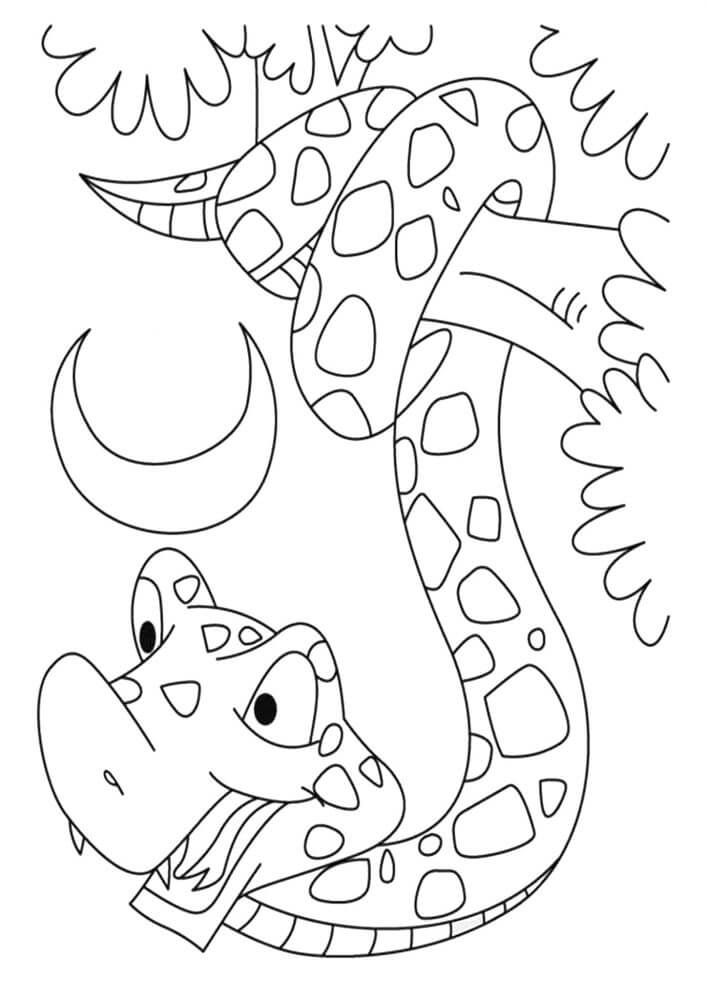 Dibujo de Serpiente en la Noche para Colorear