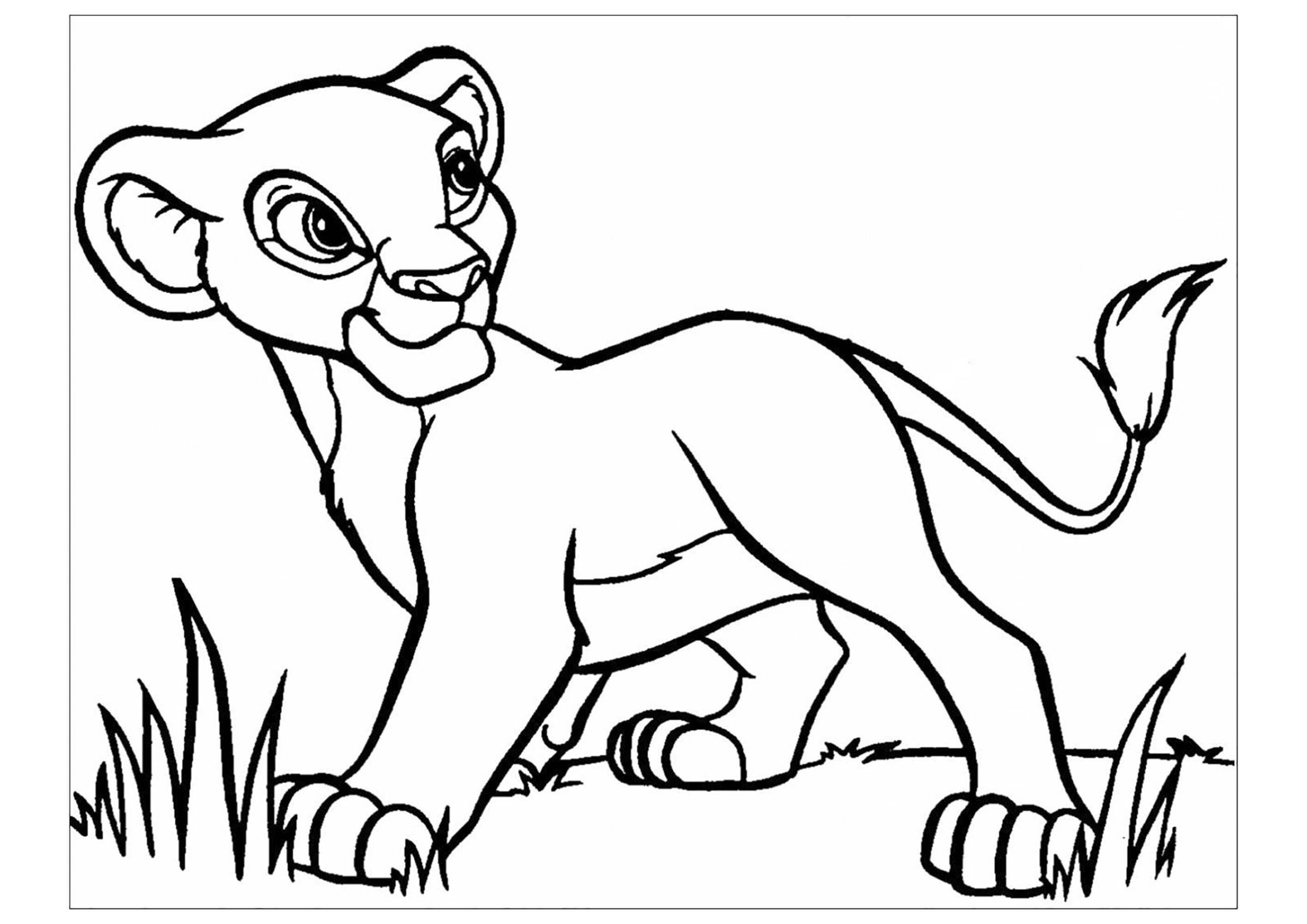 Dibujo de Joven Simba Scaled para Colorear