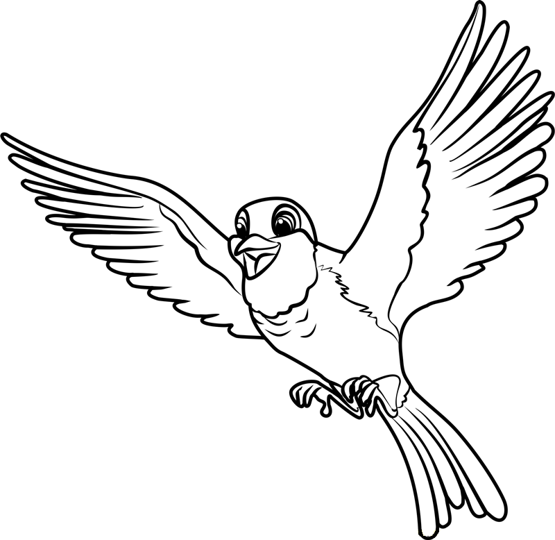 Dibujo de Robin Volando para Colorear
