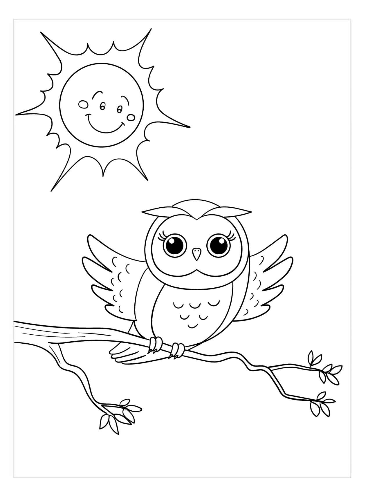 Dibujo de Búho y Sol para Colorear