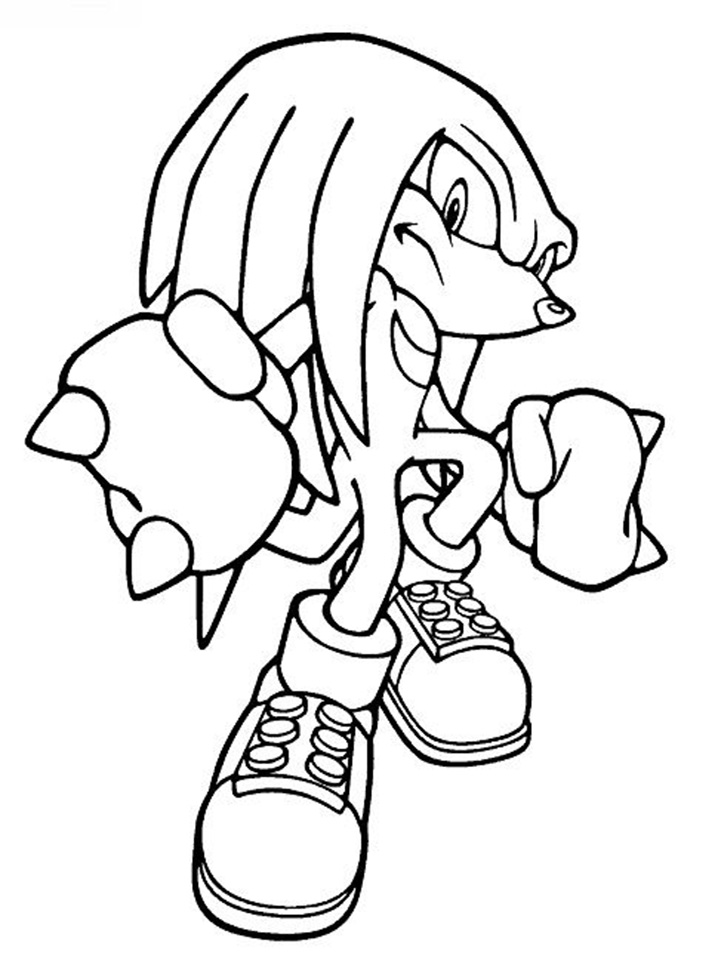 Dibujo de Echidna para Colorear