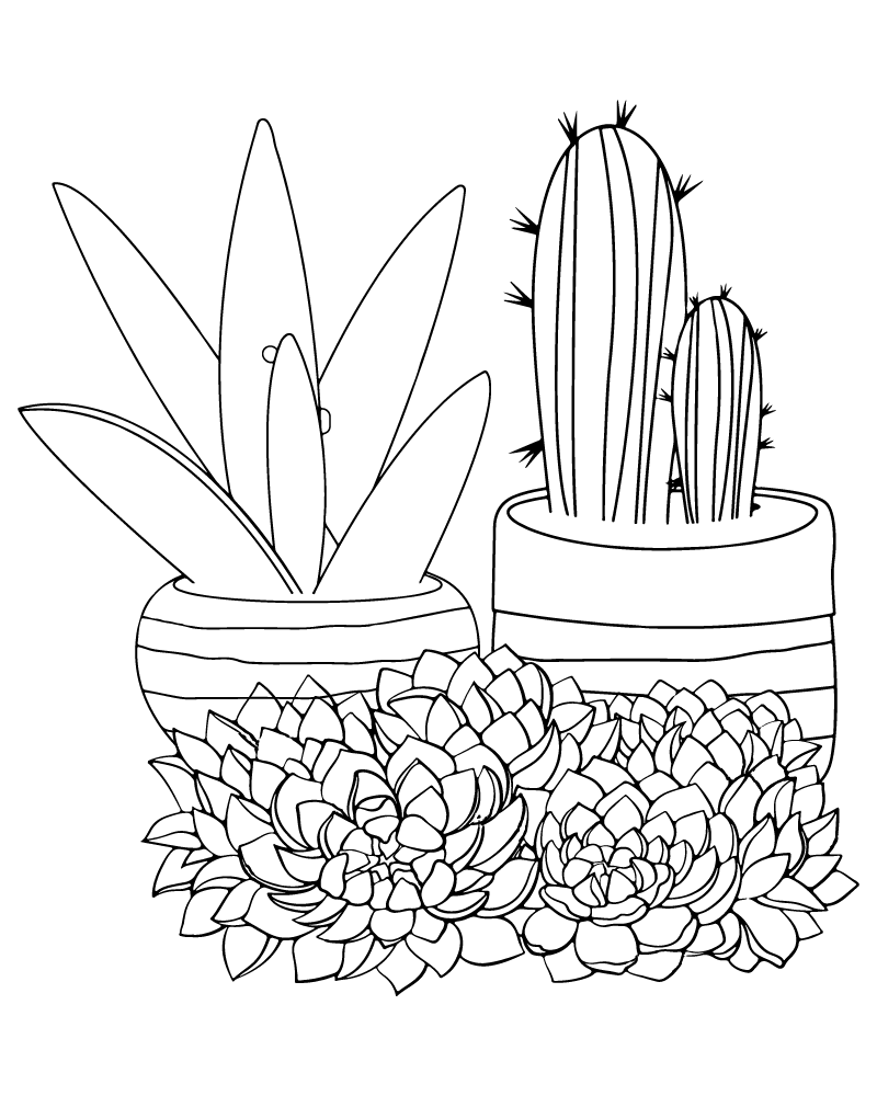 Dibujo de Potted Succulent Coloring Page para Colorear