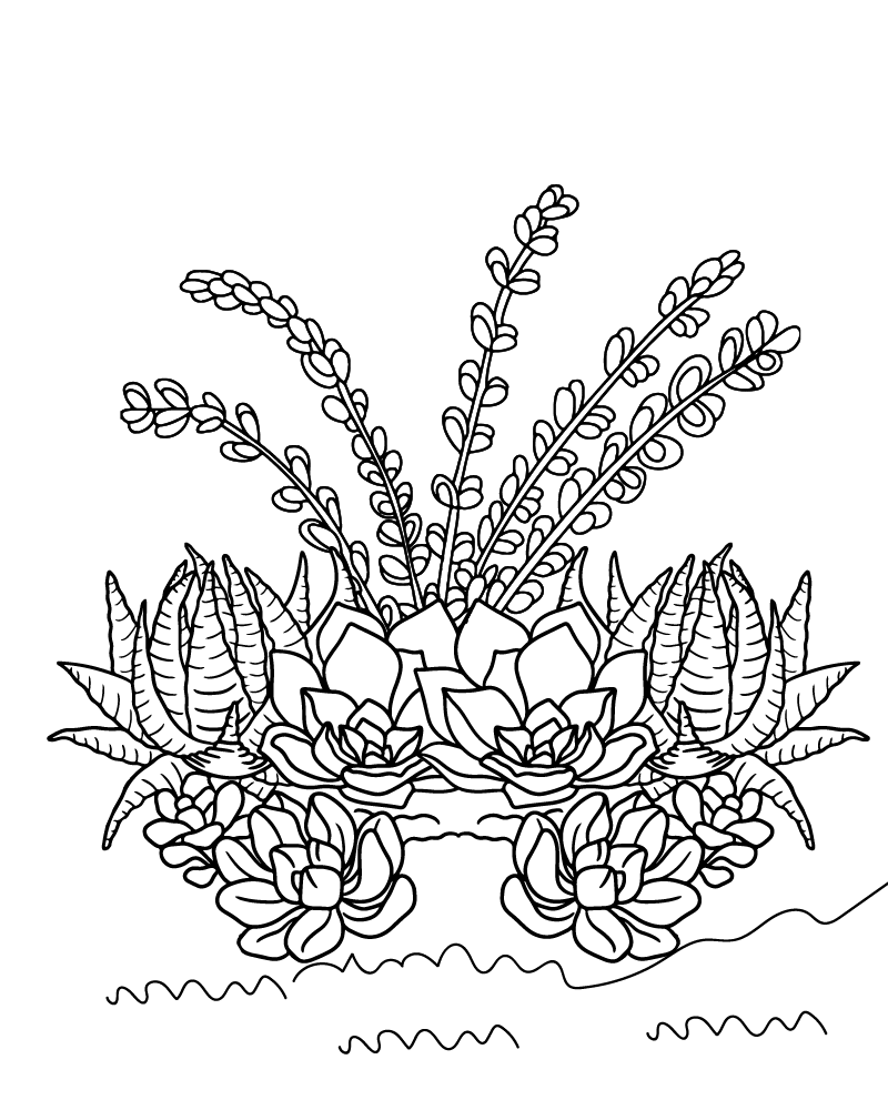 Dibujo de Realistic Succulent Coloring Page para Colorear