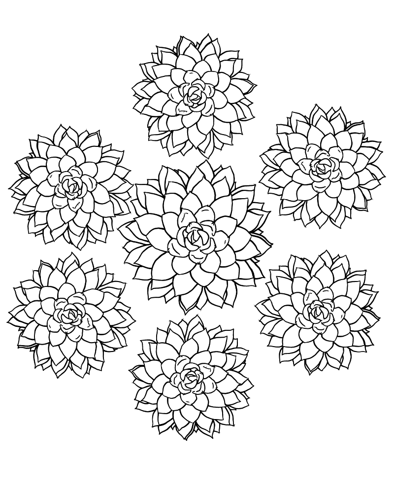 Dibujo de Simple Succulent Coloring Page para Colorear