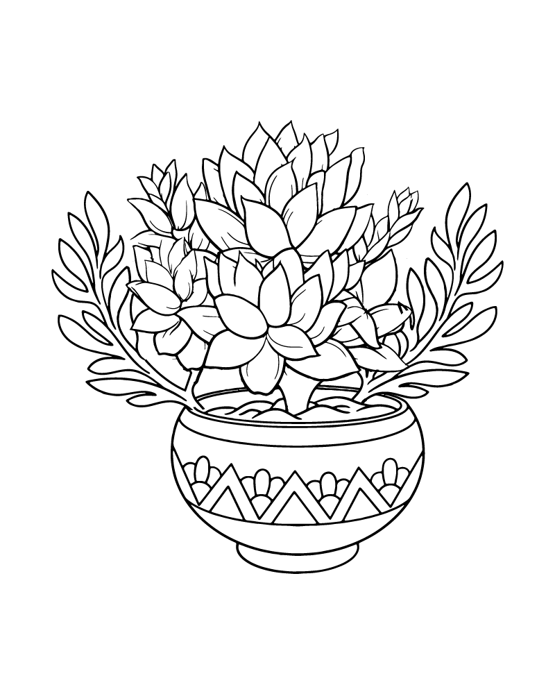 Dibujo de Succulent Arrangement Coloring Page para Colorear
