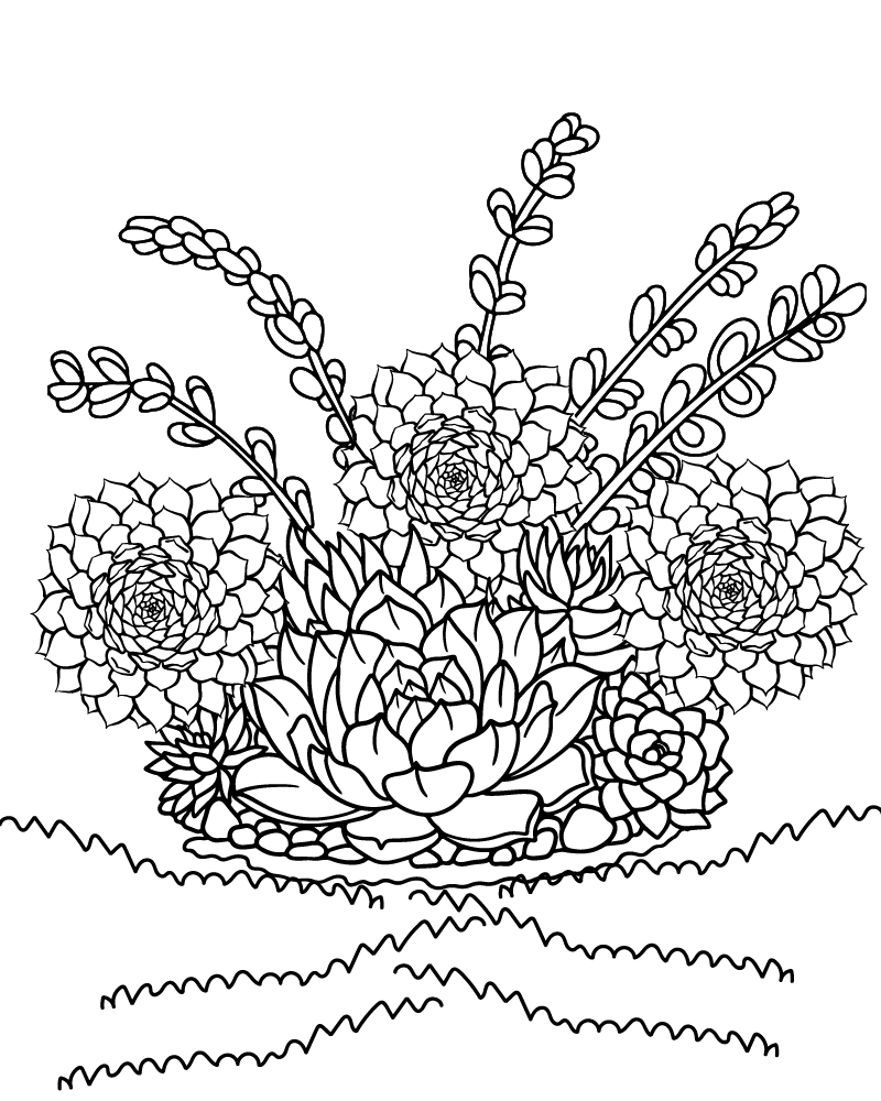 Dibujo de Succulent Garden Coloring Page para Colorear
