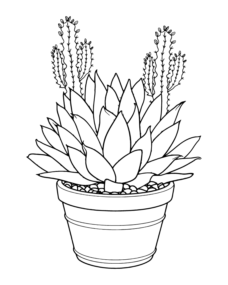 Dibujo de Succulent In a Pot Coloring Page para Colorear