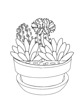 Dibujo de Succulent Watercolor Style Coloring Page para Colorear