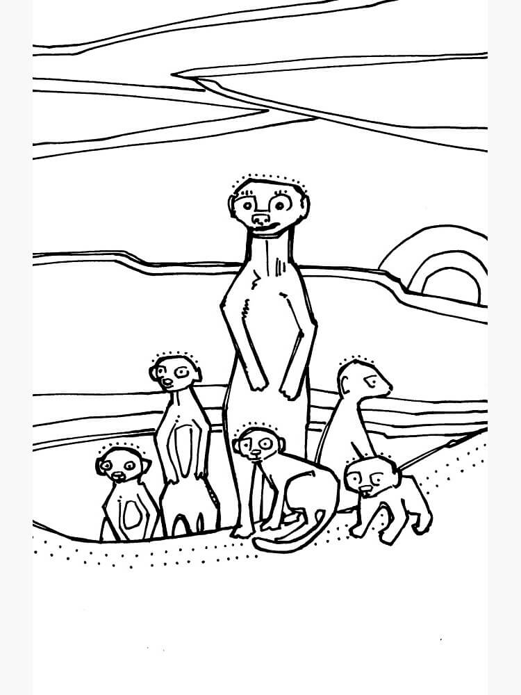 Dibujo de Suricata para Colorear