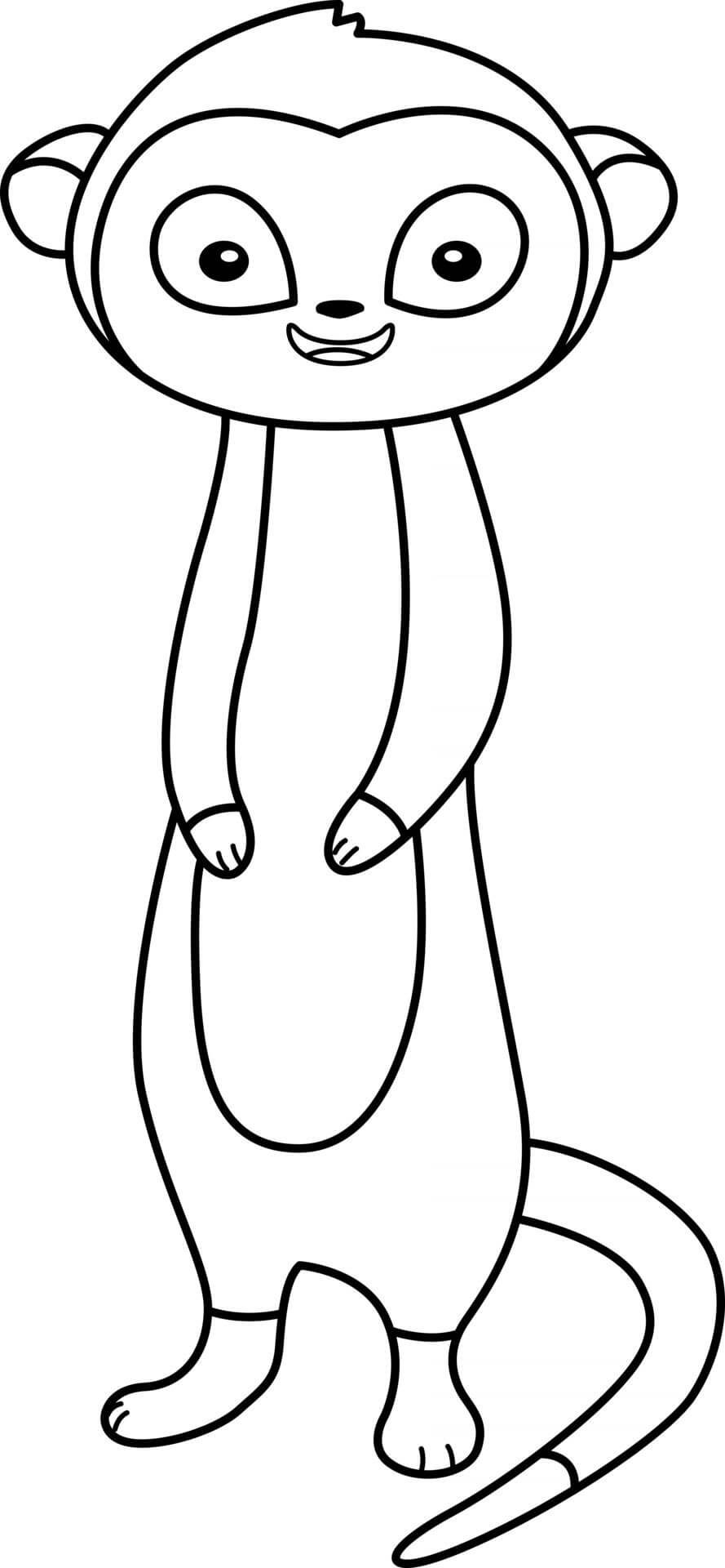Dibujo de Gran Suricata para Colorear