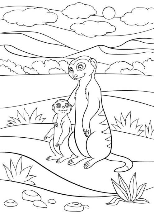Dibujo de Madre e Hijo Suricata para Colorear