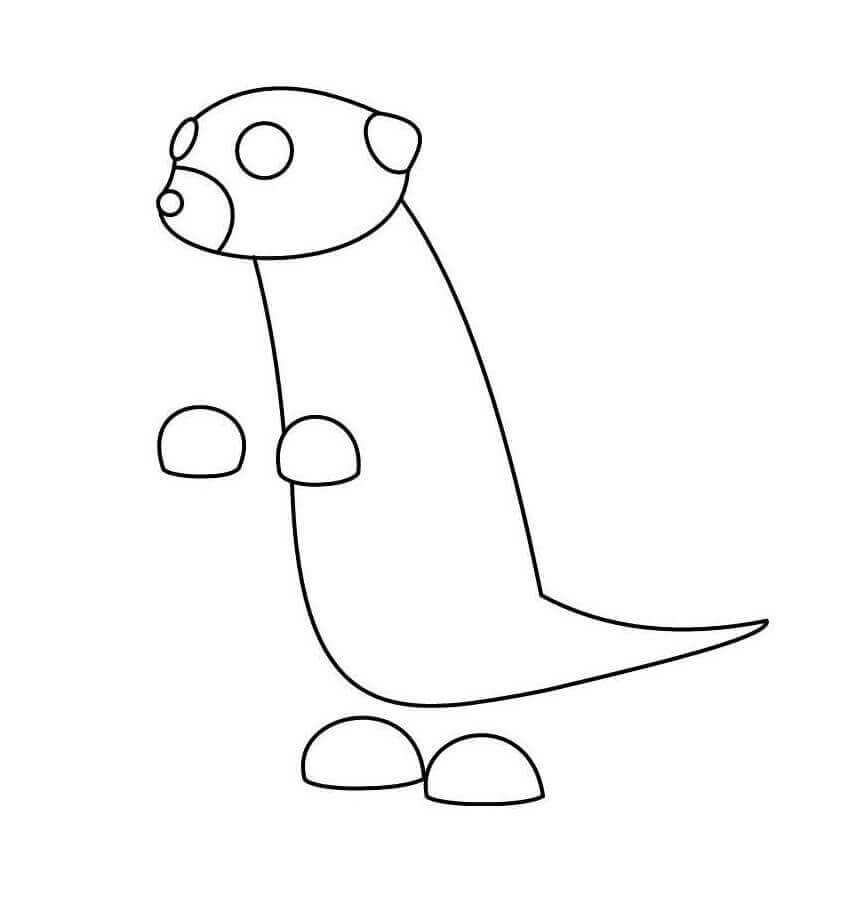 Dibujo de Suricata Adoptame para Colorear