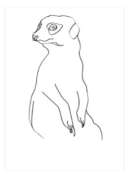 Dibujo de Suricata Normal para Colorear