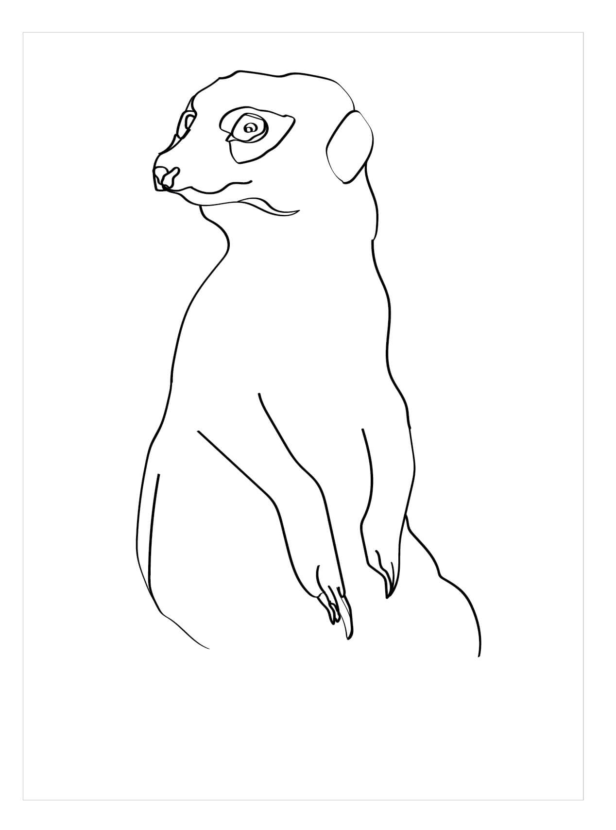 Dibujo de Suricata Normal para Colorear