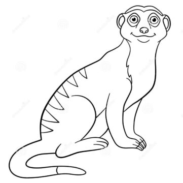 Dibujo de Suricata Sonriendo para Colorear
