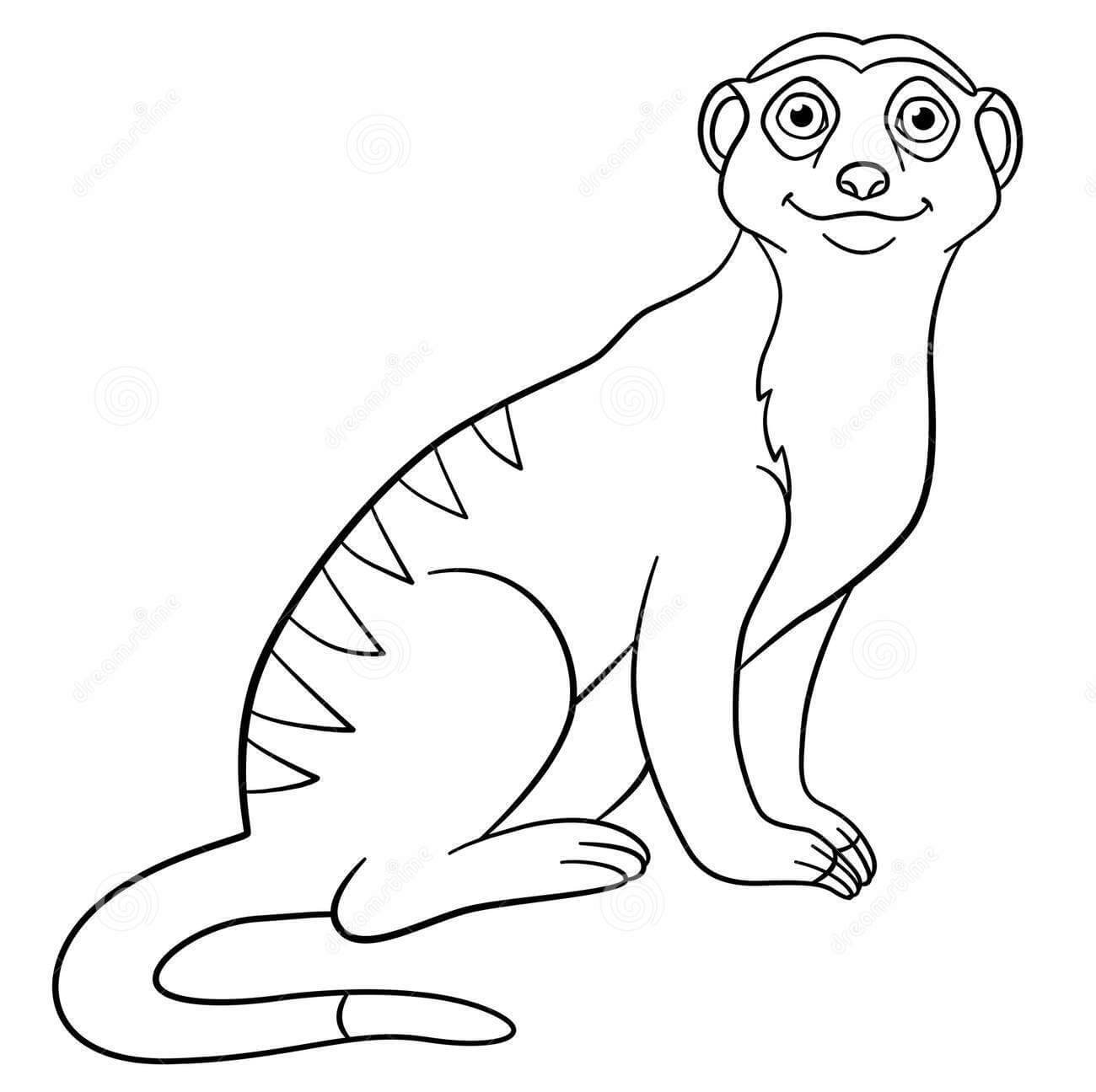 Dibujo de Suricata Sonriendo para Colorear