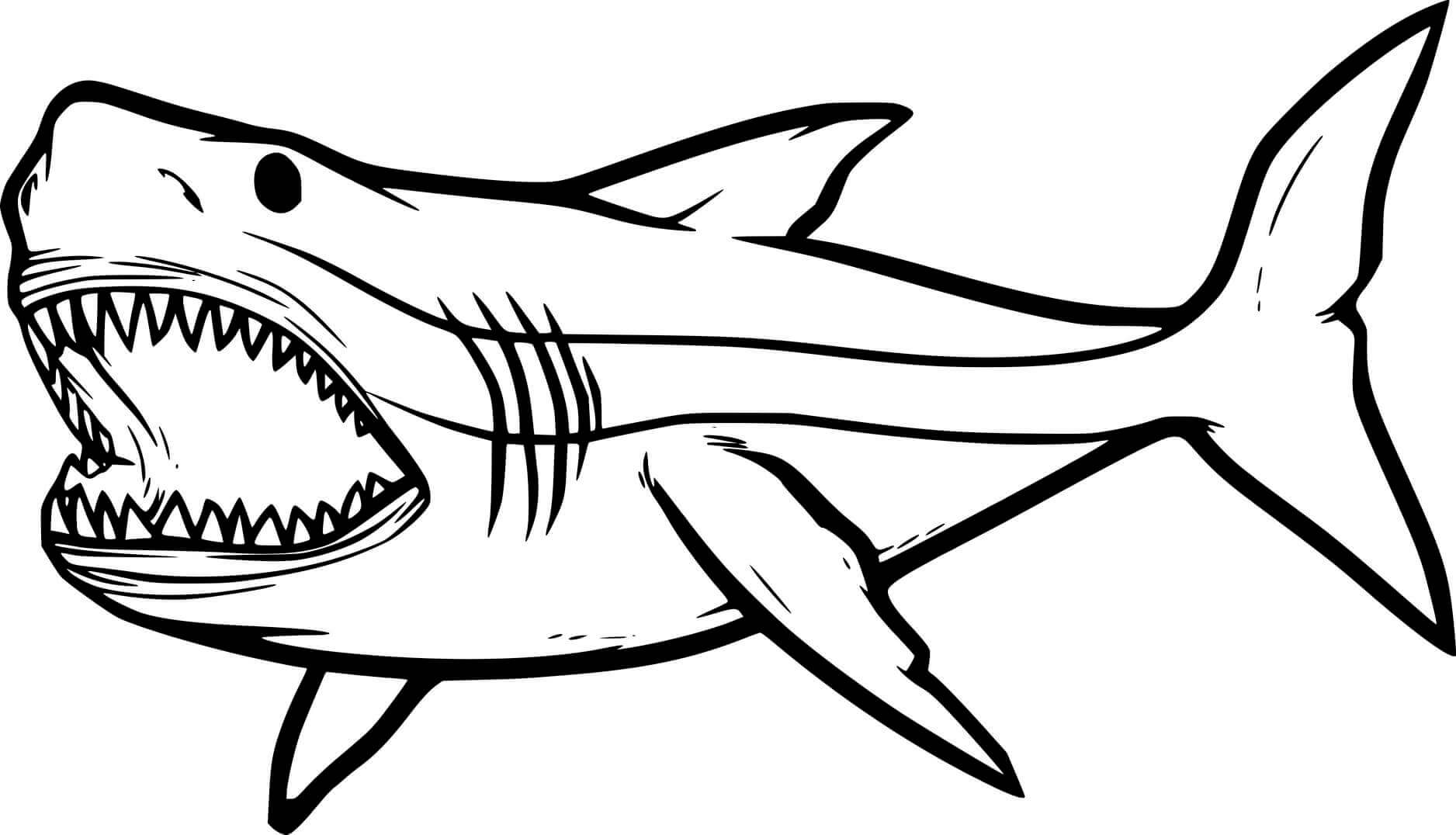Dibujo de Tiburón para Colorear