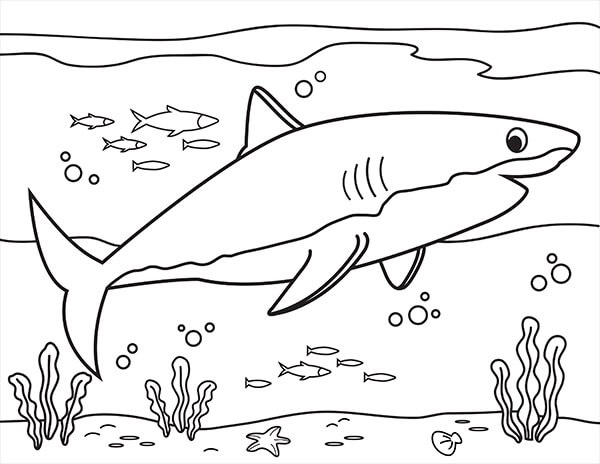 Dibujo de Natacion de Tiburones para Colorear