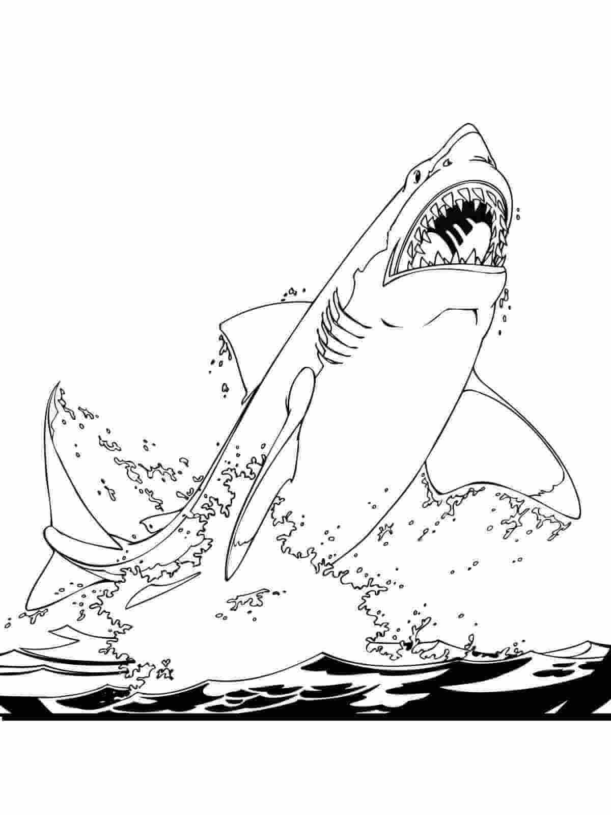 Dibujo de Tiburón Blanco Salta del Mar para Colorear