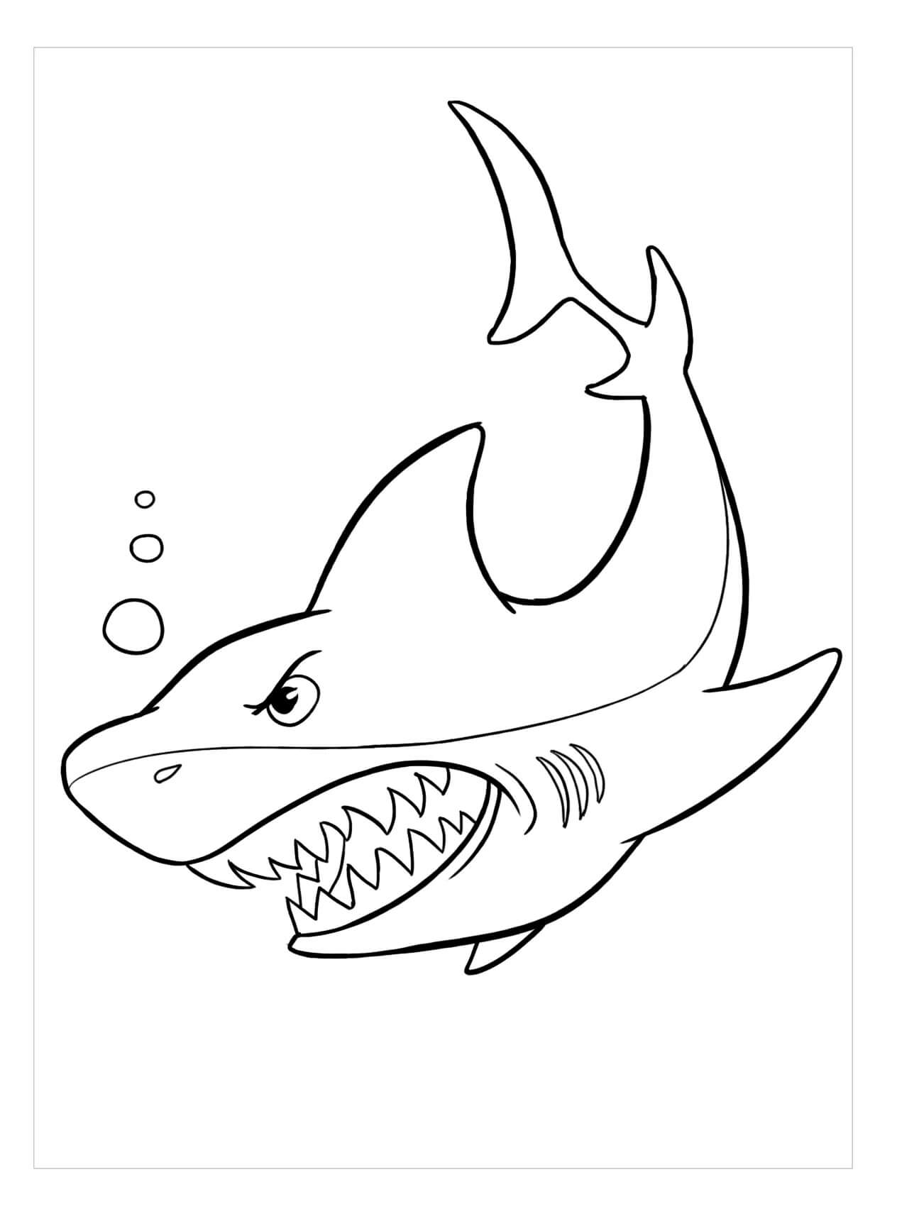 Dibujo de Tiburón Enojado para Colorear
