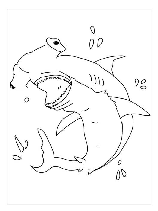 Dibujo de Tiburón Martillo Divertida para Colorear