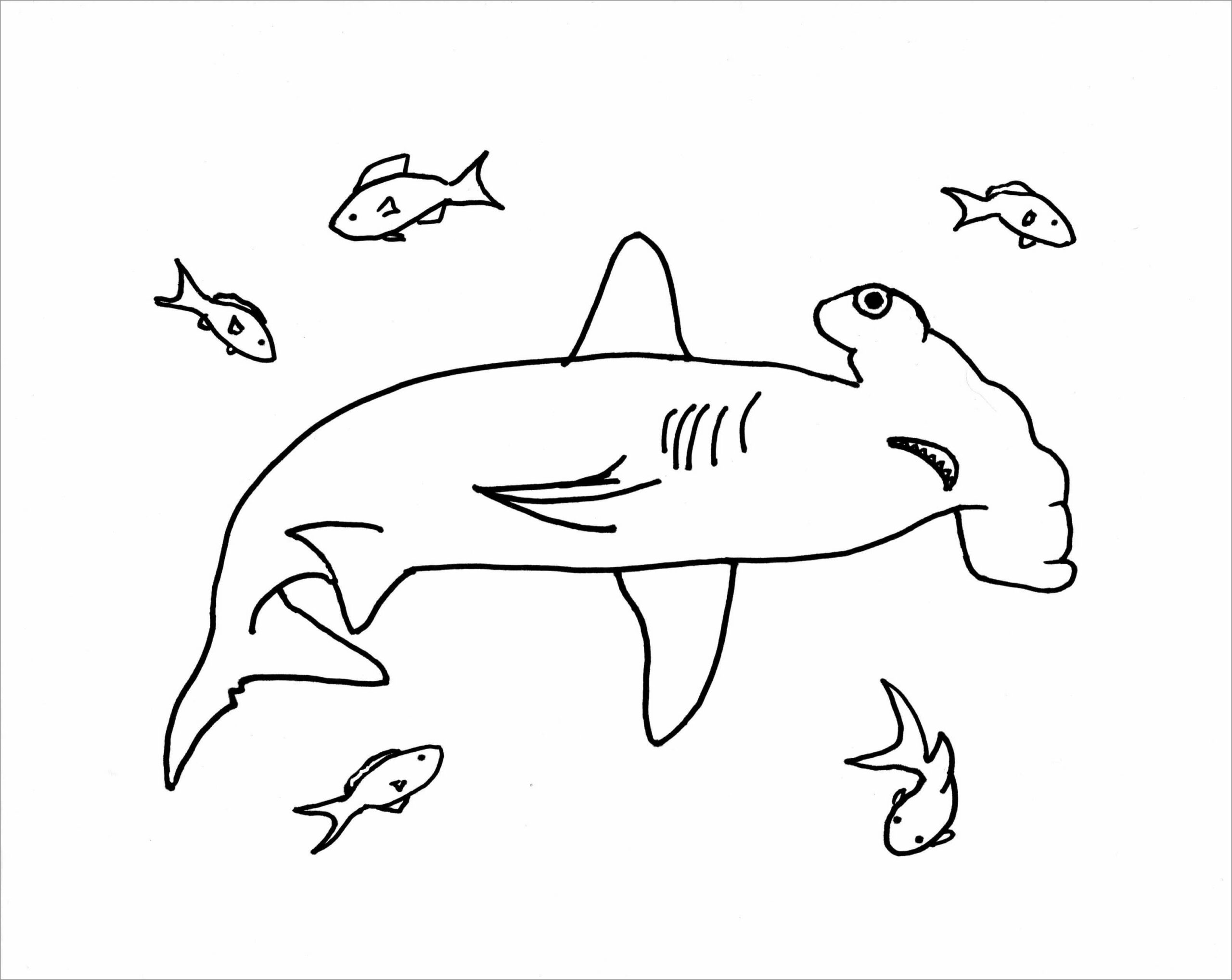 Dibujo de Tiburón Martillo con Peces Scaled para Colorear
