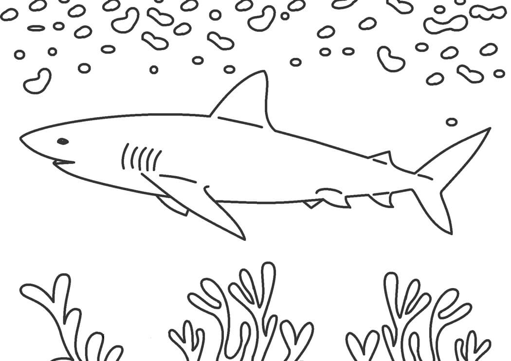 Dibujo de Tiburón con Corales para Colorear