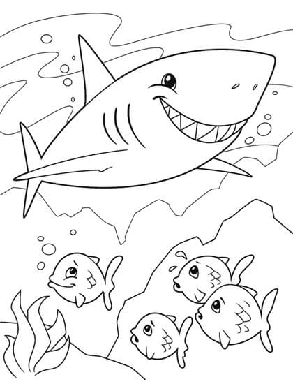 Dibujo de Tiburón con Cuatro Peces para Colorear