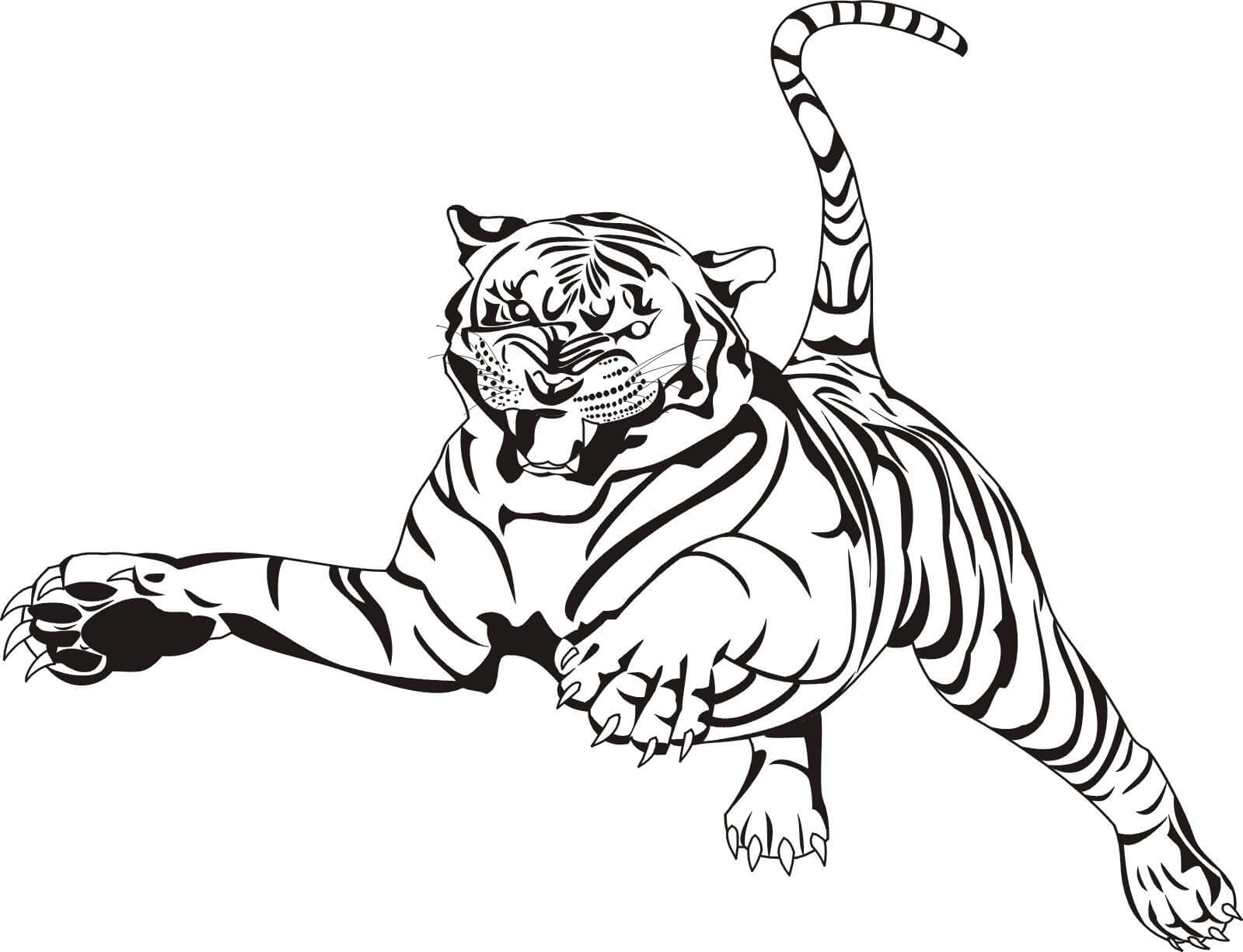 Dibujo de Ataque de Tigre para Colorear