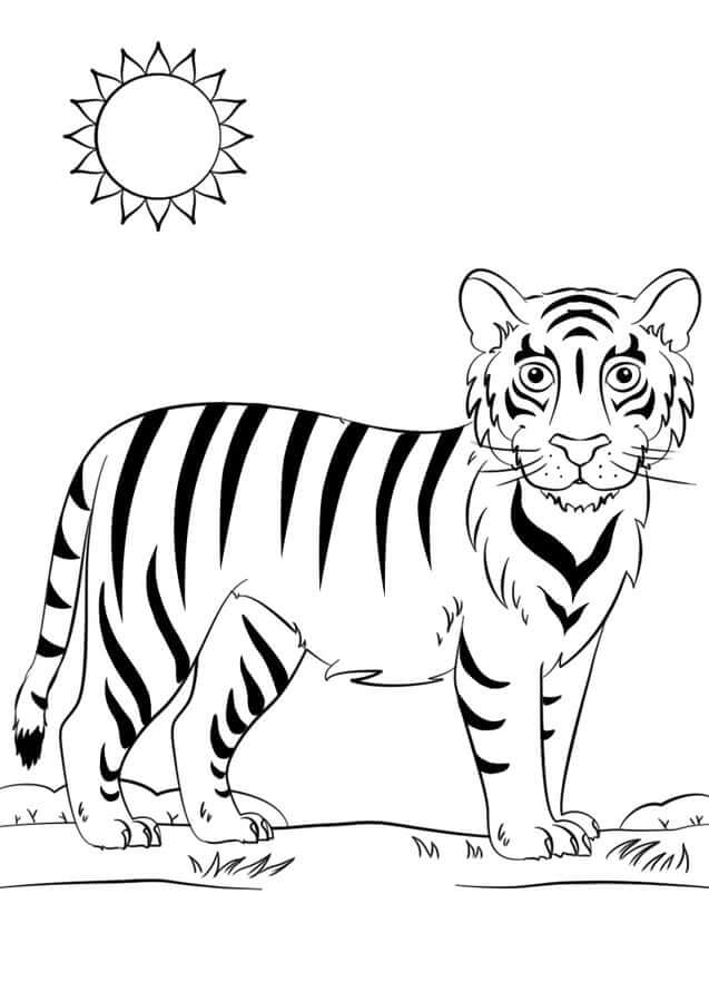 Dibujo de Bonito Tigre para Colorear