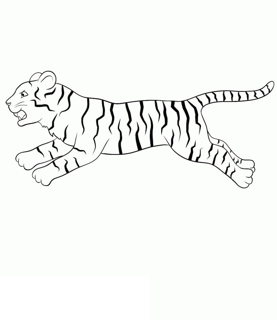 Dibujo de Carrera de Tigre básica para Colorear