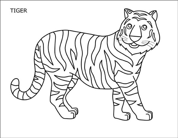 Dibujo de Divertido Tigre para Colorear