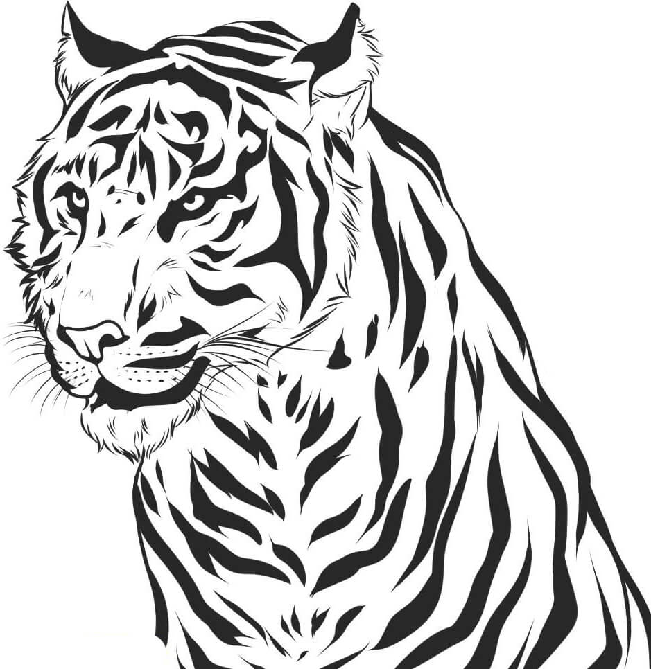 Dibujo de Retrato del Tigre para Colorear