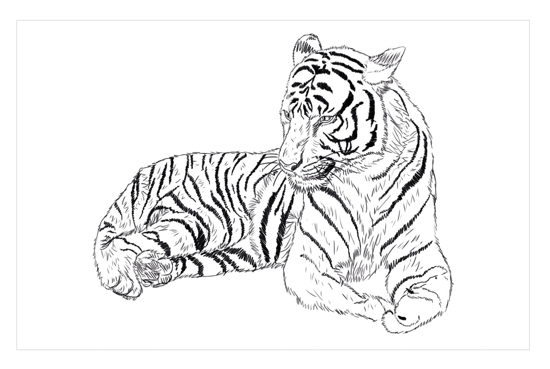 Dibujo de Tigre del Sur de China para Colorear